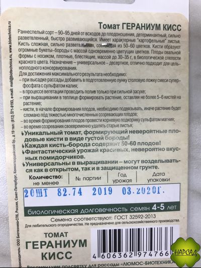Томат "Гераниум кисс" (80 см, десертного вкуса и отличные для консервирования)