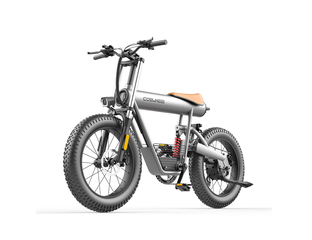 希少★スチュワートマスコウィッツ作SeaHorseシーホース限定54/350 Купить Электровелосипед COSWHEEL T20S 500 по выгодной цене в