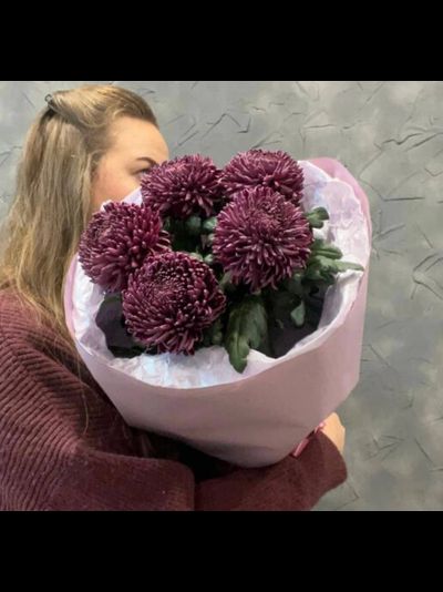 5 хризантем &quot;Бигуди&quot;