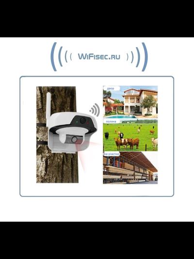 FreeCam, Всепогодная автономная беспроводная (WiFI) IP видеокамера на аккумуляторе с DVR на солнечной батарее, HD (Clever Dog)