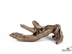 SwetAqua Chinese Sunken EXCLUSIVE 8033 (560х250х160 мм) - Натуральная коряга "Китайская затонувшая" EXCLUSIVE