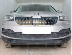 Защита радиатора для Skoda Karoq 2020- (2 части) black низ