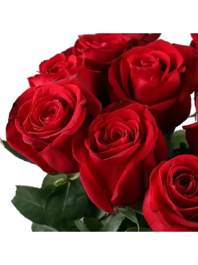 Букет из 15 голландских роз 100 см