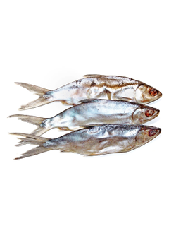 Сиг атлантический (молочная) вяленый