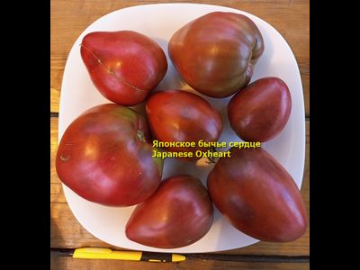 Томат Японское бычье сердце (Japanese Oxheart)