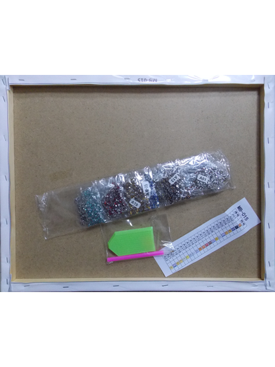 Алмазная мозаика 40х50см на подрамнике HWA3642