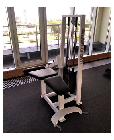 Сгибание ног лежа 100 кг AV214/80