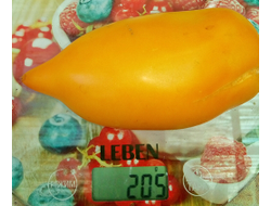 Томат Оранжевая прогулка (Orange walk)