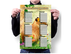 Расписание уроков вертикальное Капибара, Kapibara-san №32