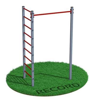 Уличный турник + шведская стенка Record RW-1 купить в Воронеже