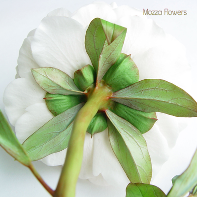 Букет пионов из полимерной глины.