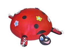 Божья коровка дидактическая