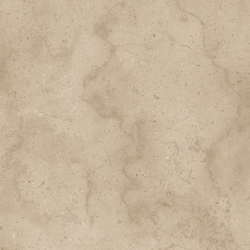 (U702) Ароза Песочная