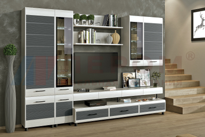 Композиция гостиной Камелия Снежный Ясень/графит