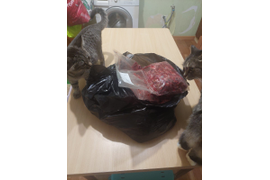 Мы передали от нас с вами вкусные гостинцы подопечным приюта "Мурка". За период с 09.03 по 26.04.23 сумма по благотворительным купонам составила 4991 руб.