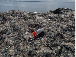 Духи НОТА: МУЖСКАЯ КОЖА 3,5 мл