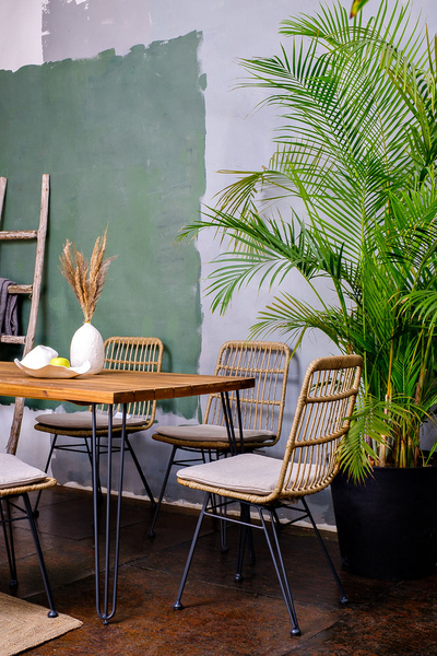 Обеденная группа Sharlotte M