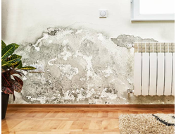 Просушка стен