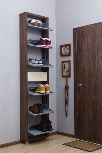 Обувница Айрон-6 Плюс (фасад стекло Капучино)