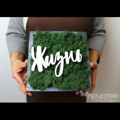 ЖИВАЯ ЭКО-КАРТИНА 1058