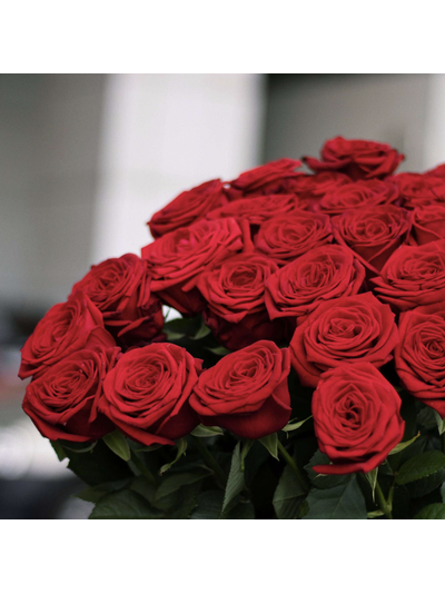 Букет "Красивый комплимент" из 25 голландских роз