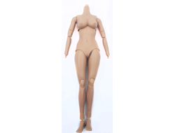 Тело женское со стопами и кистями 1/6 (M-082) - Super MC Toys