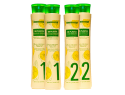 Набор для выпрямления волос BB Plastia, 1000/1000 мл.