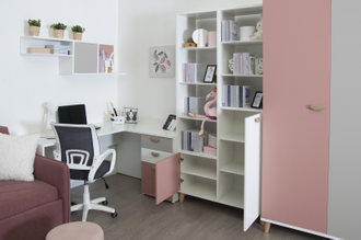 АМЕЛИ Шкаф книжный ШК