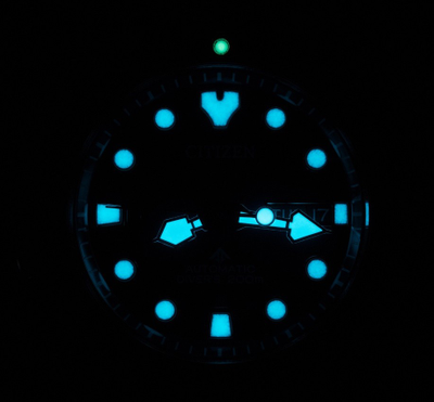 Наручные часы Citizen NY0086-83L