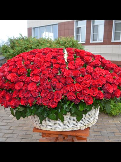 201 роза в корзине