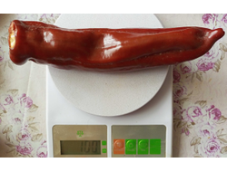 Перец сладкий Палермо шоколадный (Palermo Сhocolony, Италия)