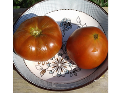 Семена томата Мулатка Гном