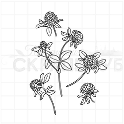 Штамп клевер красный