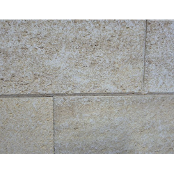 Дербентский ракушечник желтый