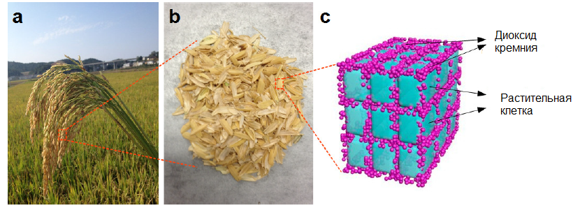 Технология по утилизации рисовой шелухи