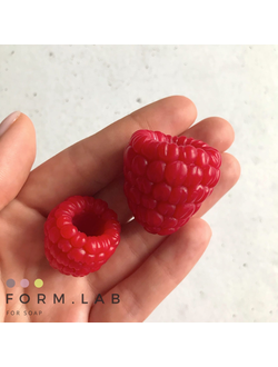 МАЛИНА  КРУПНАЯ