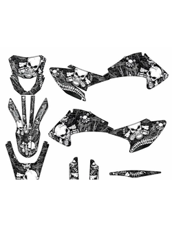 Наклейки на мотоцикл Regulmoto sport 003, MMZ , Progasi Palma, Roliz ,SYCMCC , Ular, BRZ Z7 - 2021-2024 #9516