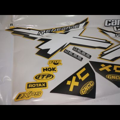 Наклейки на квадроцикл Can-am BPR Renegade defoult #790
