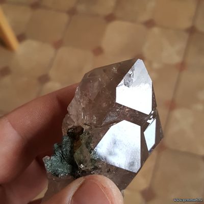 Кристалл сфена (титанита)  на хлорит-серицитовом сланце на друзе дымчатого кварца (раухтопаза) 74*55*42мм