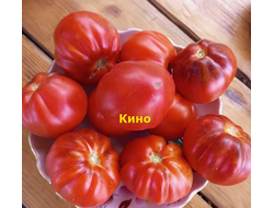 Томат Кино