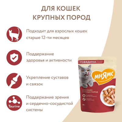 Мнямс влажный корм (пауч) для крупных кошек, кусочки в соусе с говядиной 85 г