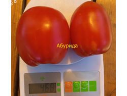Томат Абурида
