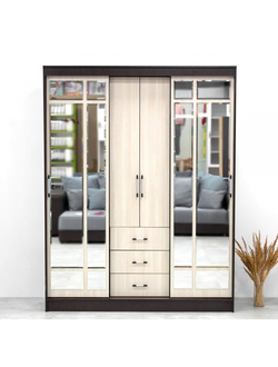 Шкаф-купе Маэстро венге 1.7 м (БТС)