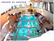 GLASS BOAT FROM SHARM EL SHEIKH