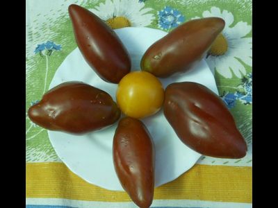 Томат Кубинский перцевидный