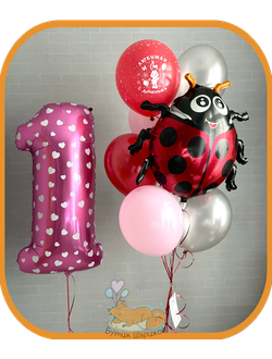 Цифра, Божья коровка, 9 шариков, 2 грузика