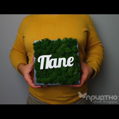 ЖИВАЯ ЭКО-КАРТИНА 1003