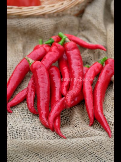 Перец сладкий ДЖИММИ НАРДЕЛЛО, 10 шт