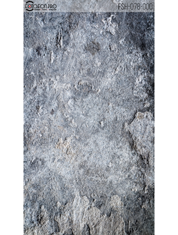 Фотофон «Камамбер»