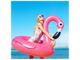 Надувной круг для для плавания "Фламинго", 120 см, BeeZee Toys